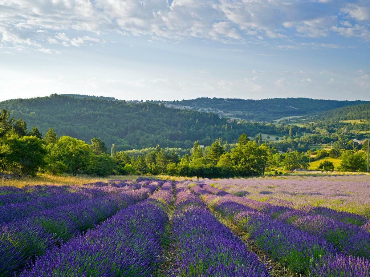 Le Jas De Verdolier Sault-de-Vaucluse Dış mekan fotoğraf