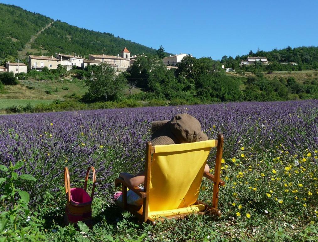 Le Jas De Verdolier Sault-de-Vaucluse Dış mekan fotoğraf